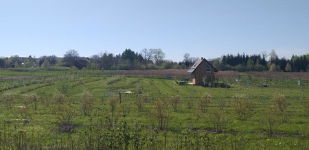 E Berry Farm - Slow life home, Olszyna, Poland
