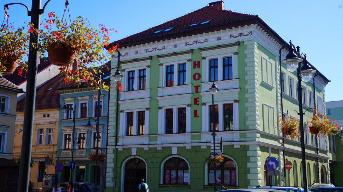 Hotel · Hotel Leliwa, Leśna
