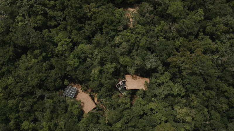 OJO DE ÁRBOL, boutique cabin in the real jungle, Tulum, Mexico