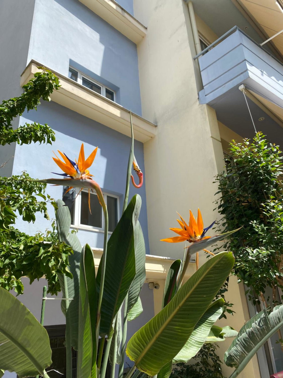 Agrinio ART Suites, Greece