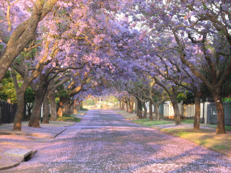 3@Marion Guest House, Pretoria, South Africa