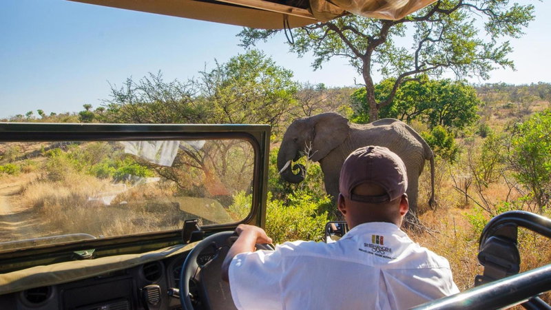 Shishangeni Lodge In Kruger National Park, Komatipoort, South Africa