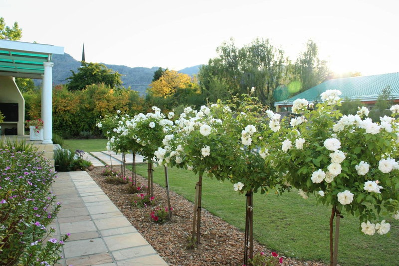 Porterhouse Eleven, Ceres, South Africa