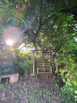 Under The Oak, Underberg, South Africa