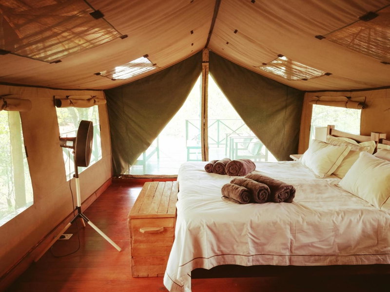 Kelora Bush Camp, Hoedspruit, South Africa