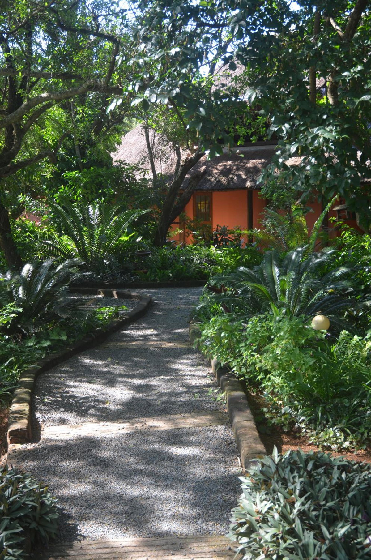Bushbaby Lodge & Camping, South Africa