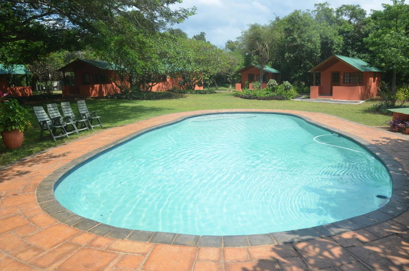Bushbaby Lodge & Camping, Hluhluwe, South Africa