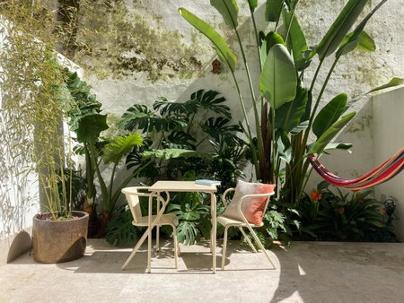 The Monkey Flat, Lisbon, Portugal