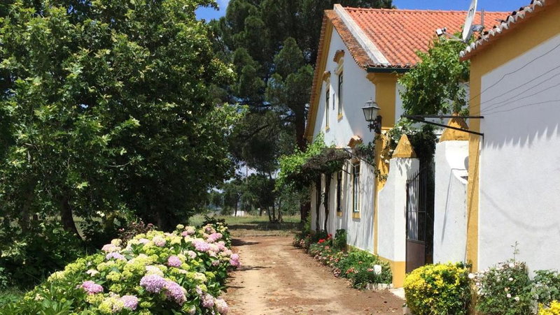 Quinta de SantAna da Várzea, Abrantes, Portugal