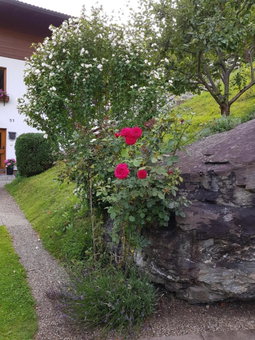 Reiter, Haus, Finkenberg, Austria