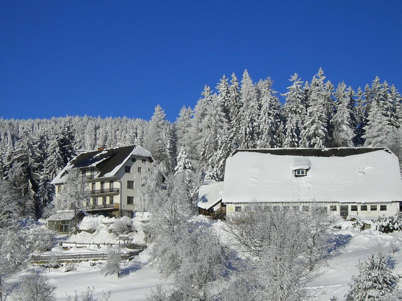 Urlaub am Bauernhof Grabenhofer, Sankt Jakob im Walde, Austria