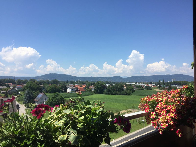Komfortables Appartement/Garconniere in Graz für Urlaub und Geschäftsreisen, Graz, Austria