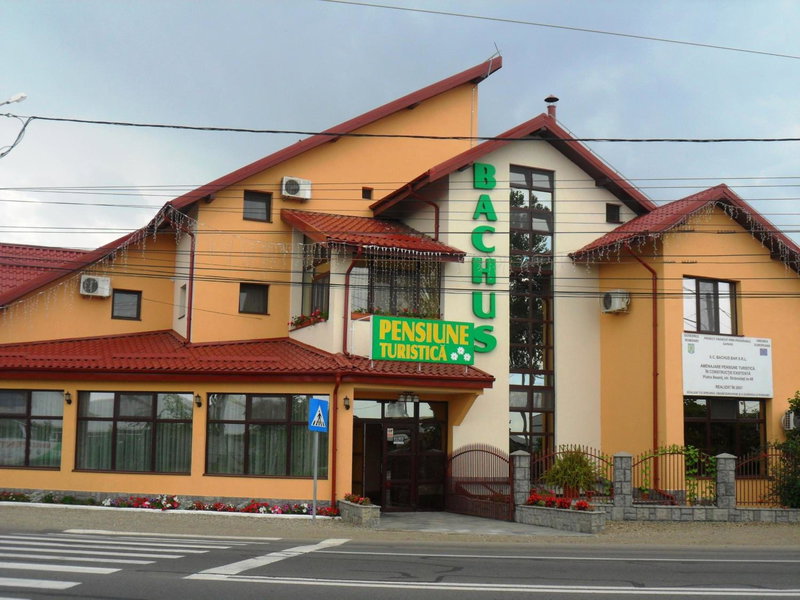 Pensiunea Bachus, Piatra Neamţ, Romania