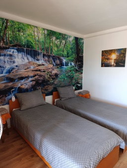 Studio, Hunedoara, Romania