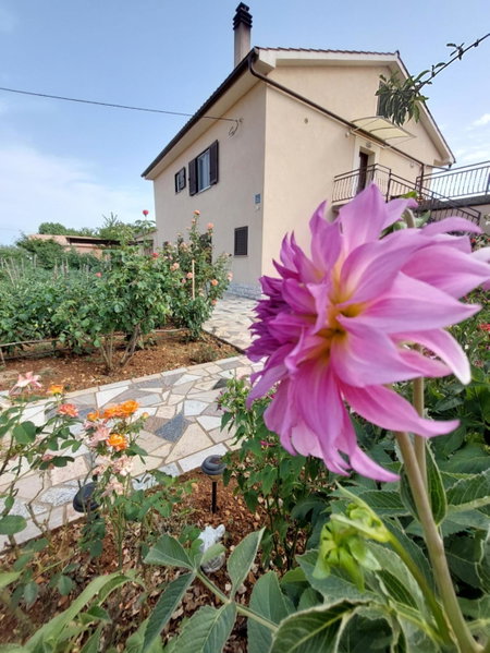 Apartments Rusin, Krk, Croatia
