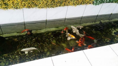 The Garden Inn, Miri, Malaysia