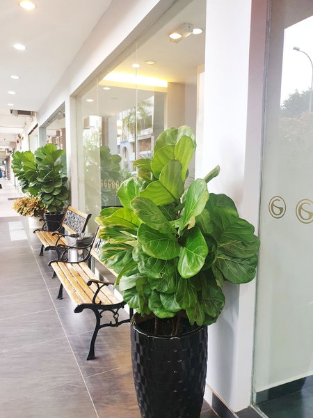 Golden Court Hotel, Johor Bahru, Malaysia