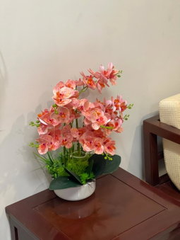 Dodo Home 3, Hanoi, Vietnam
