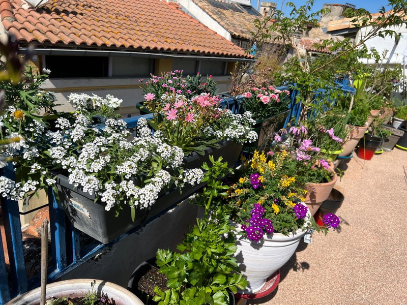 Loft Apartment , La Terrasse Centre Ville d'Arles,, Arles, France