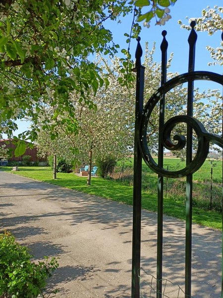 Les chambres du Vert Galant "La campagne qui murmure", Verlinghem, France