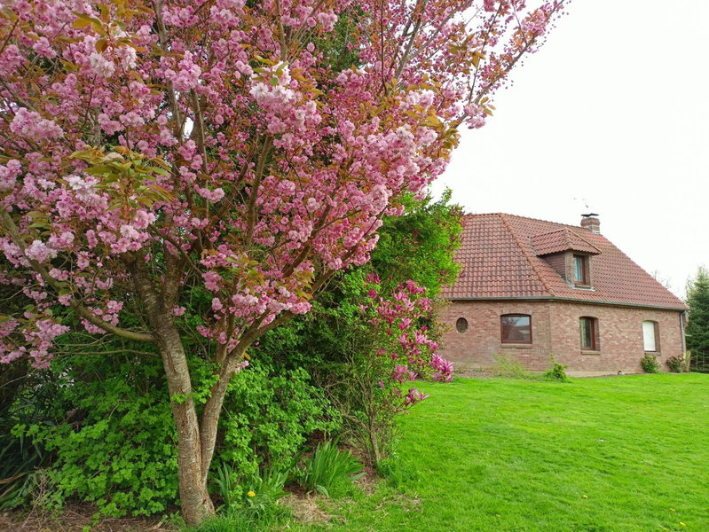 Les chambres du Vert Galant "La campagne qui murmure", Verlinghem, France