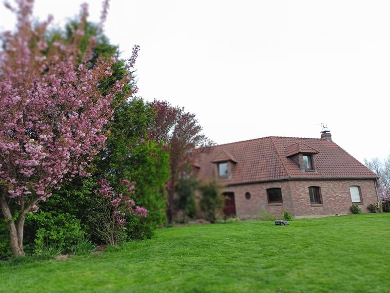 Les chambres du Vert Galant "La campagne qui murmure", Verlinghem, France