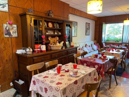 Hotel les Marronniers, Thonon-les-Bains, France