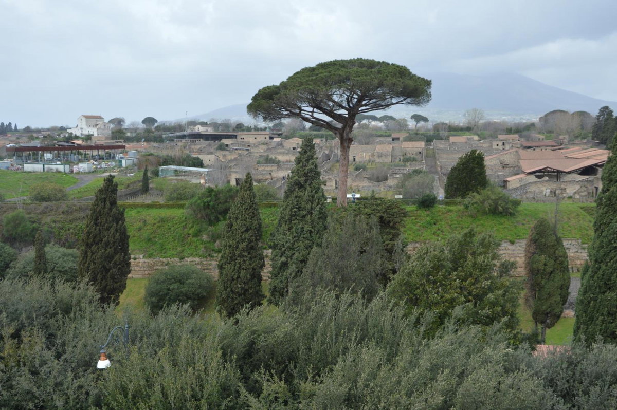 Hotel · Il vecchio Fauno, Pompei