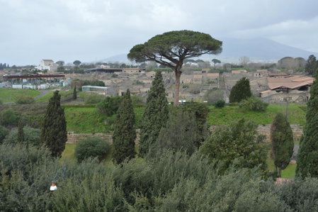 Il vecchio Fauno, Pompei, Italy