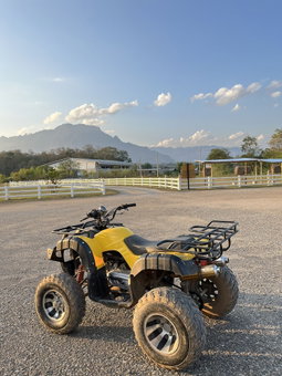 Isbjorn, Chiang Dao, Thailand