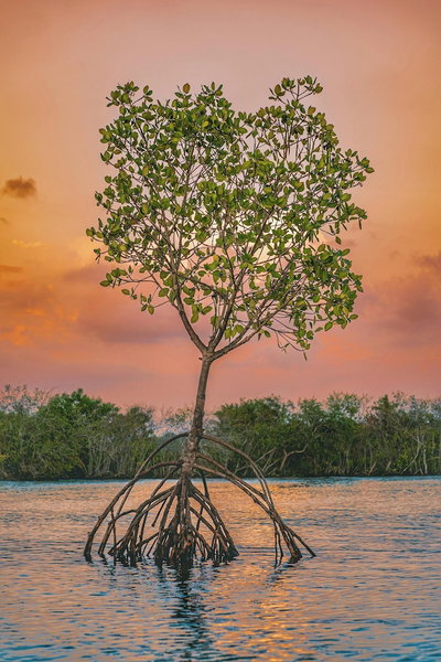 Ko lanta Hotels & Co- Working Space, Ko Lanta, Thailand