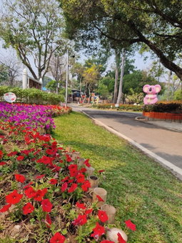 Comeonplace, Chiang Mai, Thailand