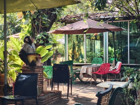 Comeonplace, Chiang Mai, Thailand