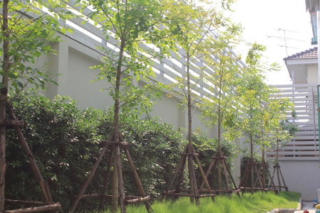 UTD 8 Hotel & Residence, Bangkok, Thailand