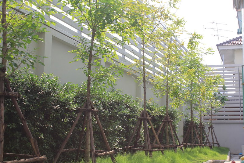 UTD 8 Hotel & Residence, Bangkok, Thailand