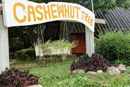 Cashewnut Tree Bungalows, Ko Lanta, Thailand