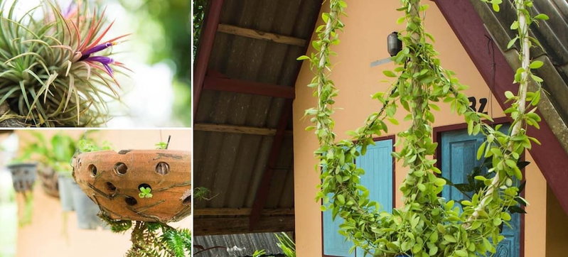 Cashewnut Tree Bungalows, Ko Lanta, Thailand
