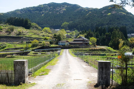 分校Stay haruhi グランピング, Ureshino, Japan
