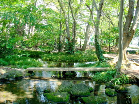 Guesthouse giwa - Vacation STAY 14252v, Mishima, Japan