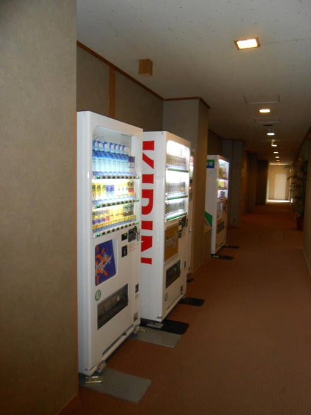 Hamanako Wan Wan Paradise Hotel, Hamamatsu, Japan