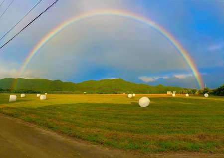 石垣島北部一棟貸しコテージあちみぃん（achimiin）, Ishigaki Island, Japan