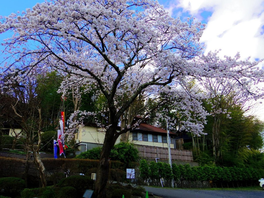 Hiraizumi Hotel Musashibou, Hiraizumi, Japan