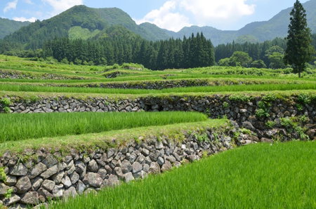 Nabekura Kougen Mori-No-Ie, Iiyama, Japan