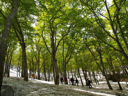 Nabekura Kougen Mori-No-Ie, Iiyama, Japan