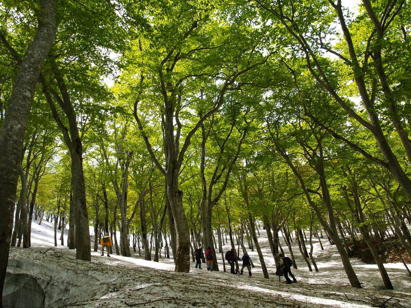Nabekura Kougen Mori-No-Ie, Iiyama, Japan