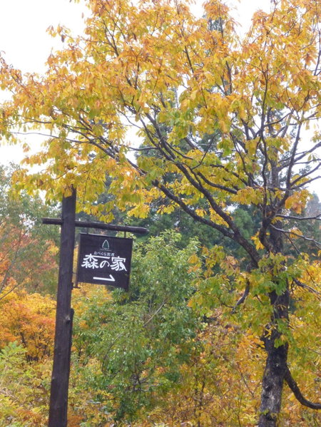Nabekura Kougen Mori-No-Ie, Iiyama, Japan