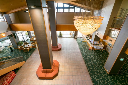 Isawa Tokiwa Hotel, Fuefuki, Japan