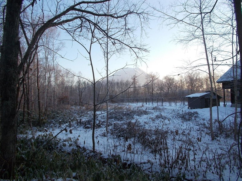 Niseko Shirokuma Cottage, Niseko, Japan