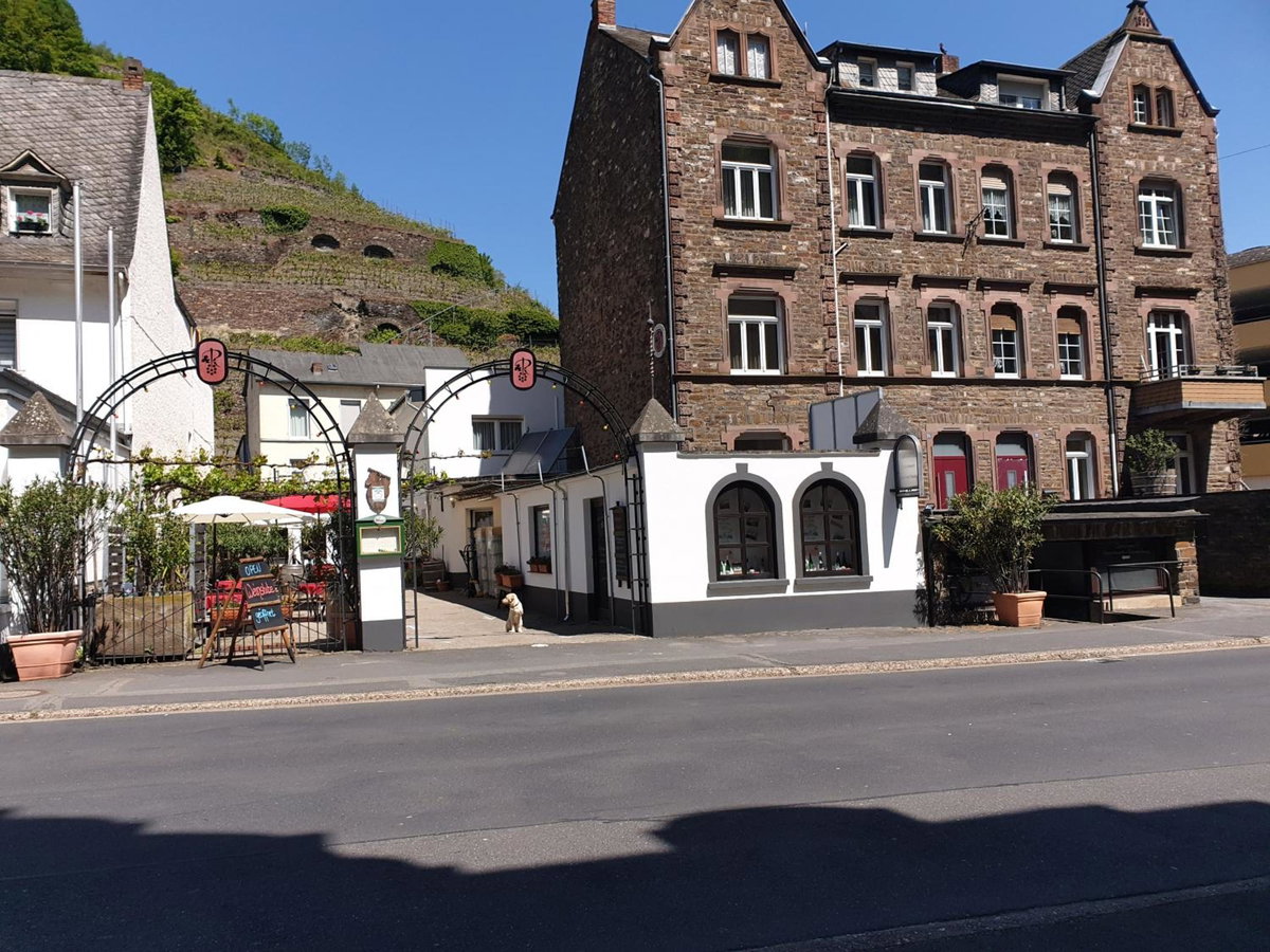 Weingut Haxel, Germany