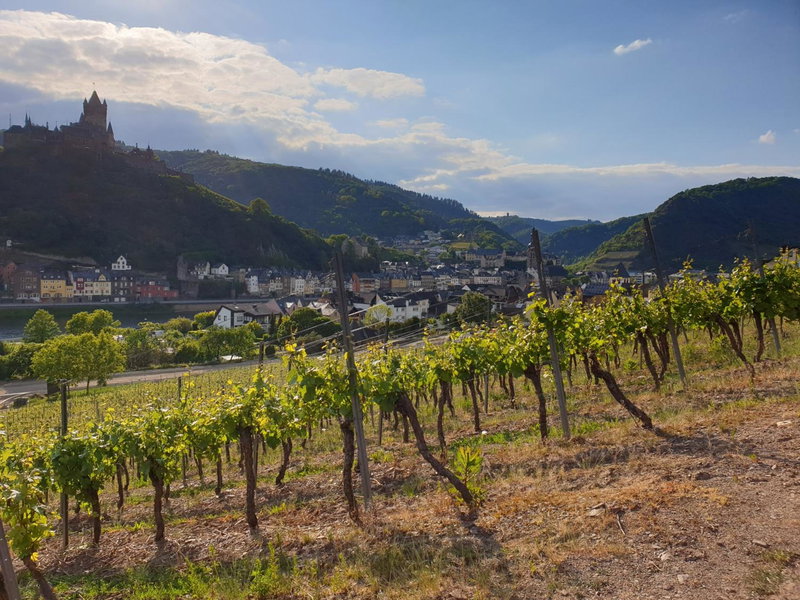 Weingut Haxel, Cochem, Germany